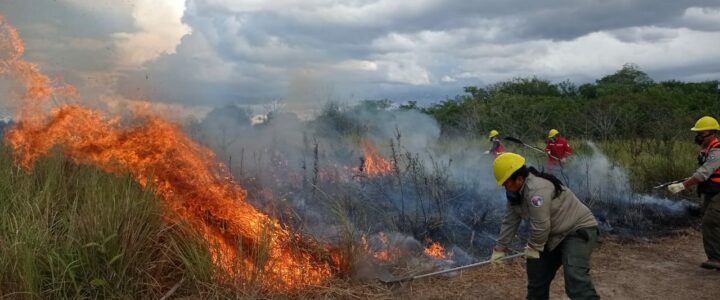 Waldbrände mit Wissen bekämpfen