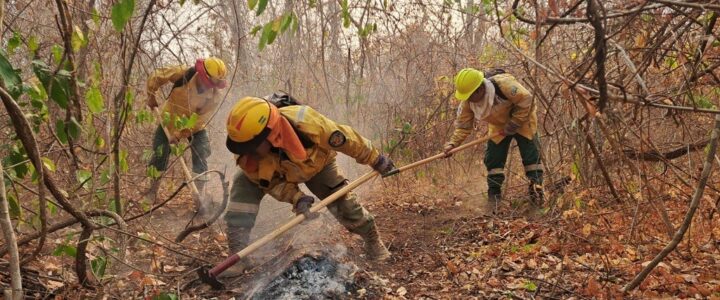 News “Fighting wildfires with knowledge”